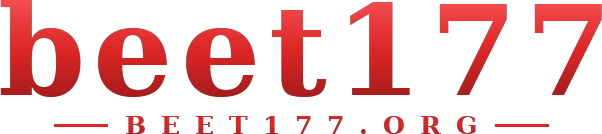 beet177 logo